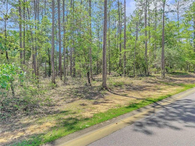 28392 Beau Chene Ct, Daphne, AL 36526