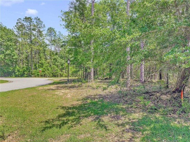 28392 Beau Chene Ct, Daphne, AL 36526
