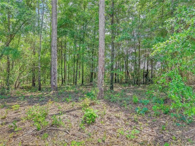28392 Beau Chene Ct, Daphne, AL 36526