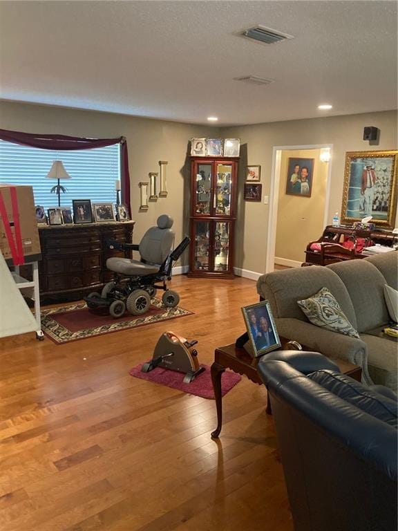 living room with hardwood / wood-style flooring