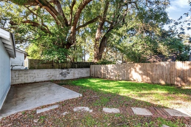 view of yard featuring a patio