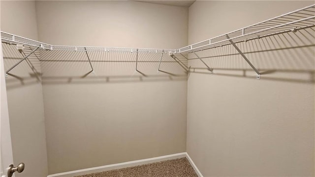 5189 Pinyon Dr, Mobile, AL 36693 - spacious closet featuring carpet
