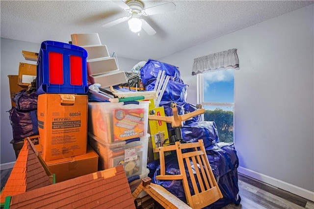 storage room featuring ceiling fan