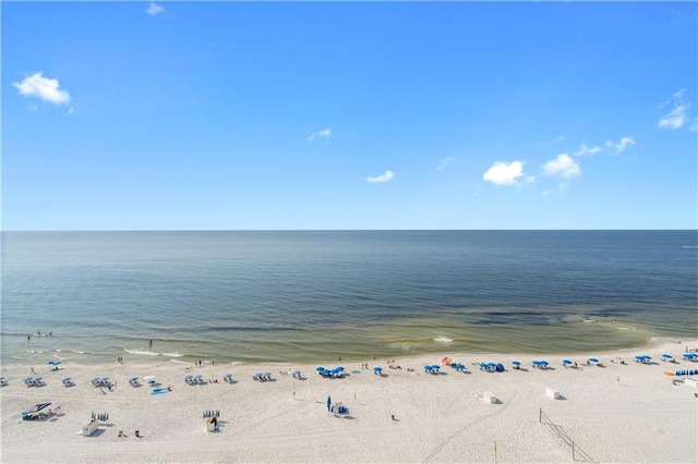 property view of water featuring a beach view