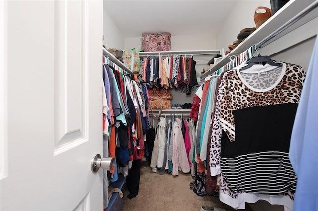 walk in closet featuring carpet