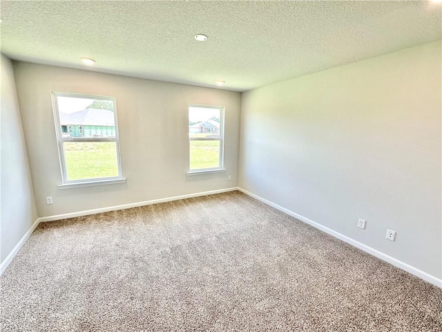 carpeted empty room featuring a textured ceiling and plenty of natural light