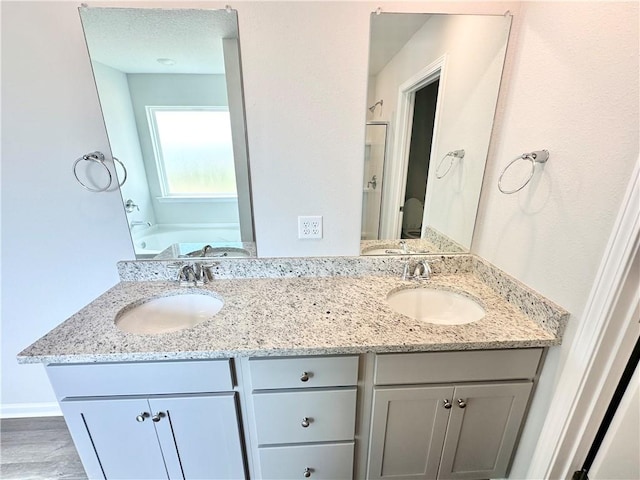 bathroom featuring vanity and a bathing tub