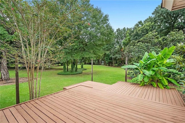 wooden deck with a yard