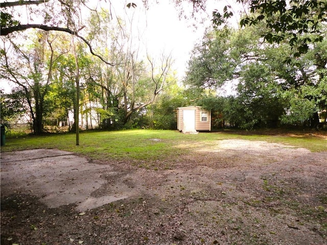 view of yard with a storage shed