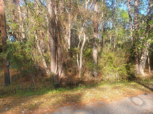 228 Chenault Ave, Dauphin Island AL, 36528 land for sale