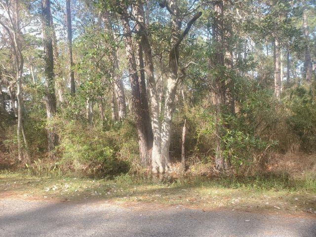 Listing photo 3 for 228 Chenault Ave, Dauphin Island AL 36528