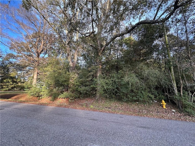 Listing photo 3 for 0 Johns Ln, Mobile AL 36605