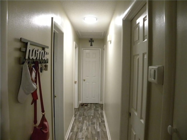 corridor featuring hardwood / wood-style flooring