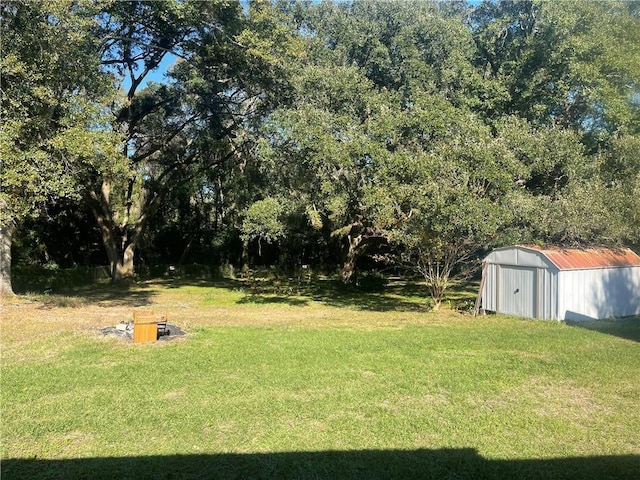 view of yard featuring a storage shed