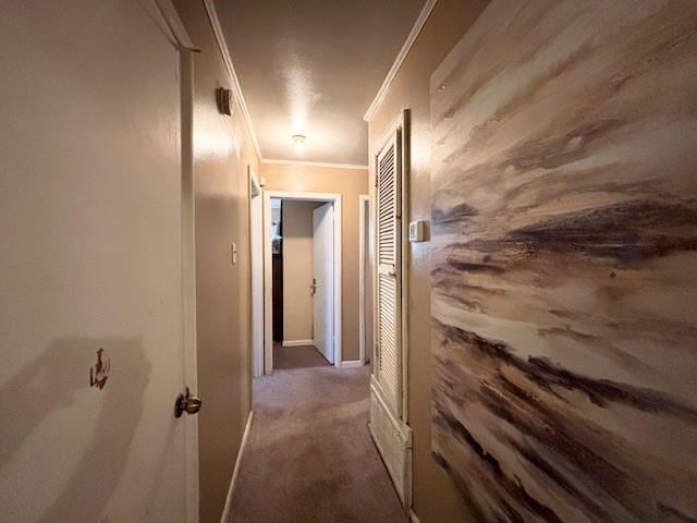 hallway with carpet and ornamental molding