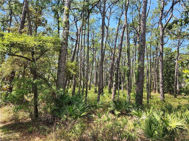 Listing photo 3 for 510 Fort Tombecbe Pl, Dauphin Island AL 36528