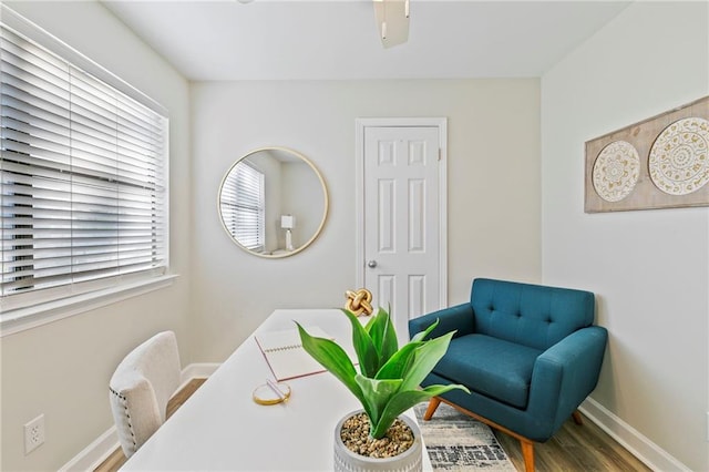 interior space with hardwood / wood-style flooring and ceiling fan