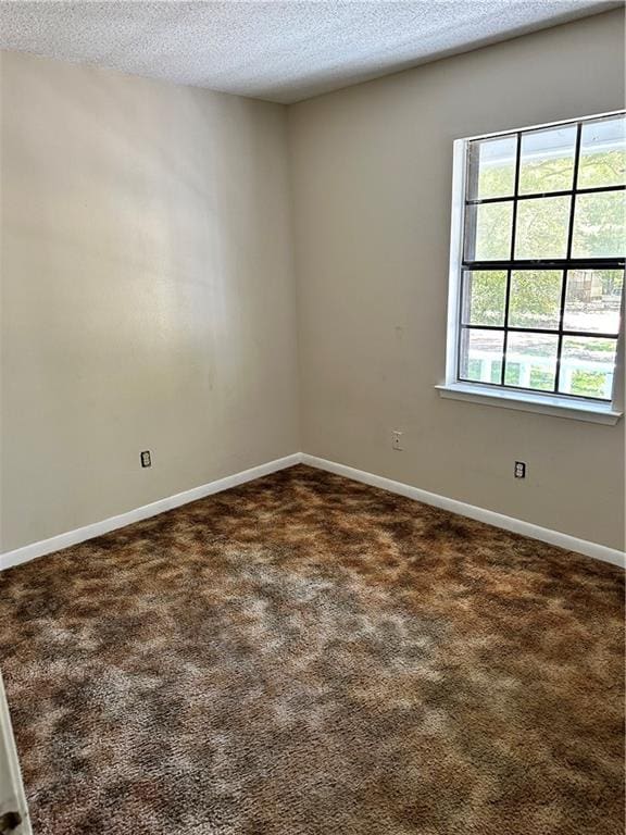 unfurnished room with carpet floors and a textured ceiling