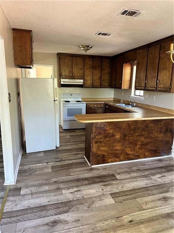 kitchen featuring hardwood / wood-style floors, white appliances, sink, a textured ceiling, and dark brown cabinetry