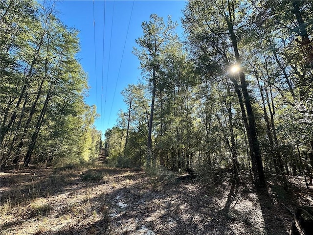 view of local wilderness