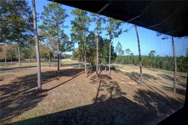 view of jungle gym