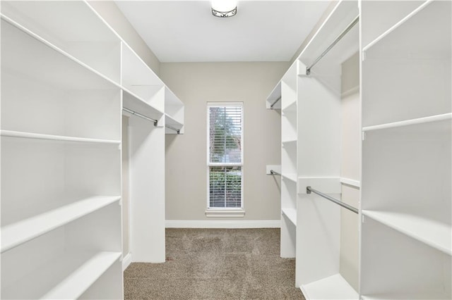 spacious closet with light carpet