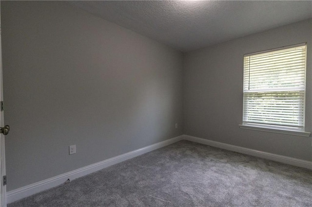 6771 Spaniel Dr Unit 3A, Spanish Fort, AL 36527 - spare room with carpet floors and a textured ceiling