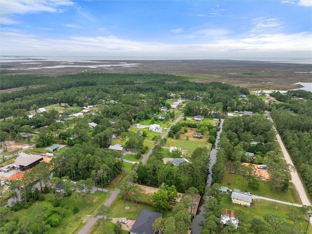 15314 Morris Dr, Coden, AL 36523