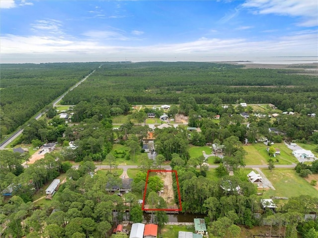 15314 Morris Dr, Coden, AL 36523