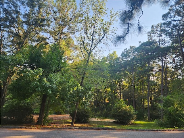 4309 Packingham Dr, Mobile AL, 36609 land for sale