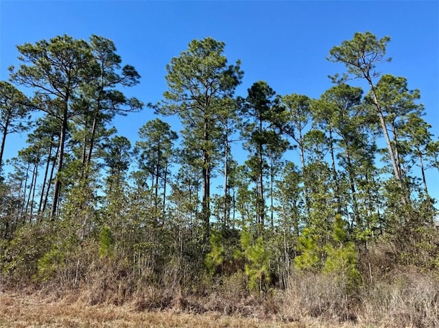 0 Robert White Rd, Bay Minette AL, 36507 land for sale