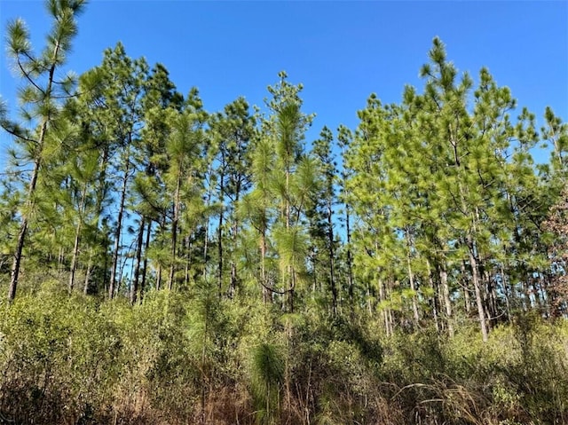 Listing photo 2 for 0 Robert White Rd, Bay Minette AL 36507