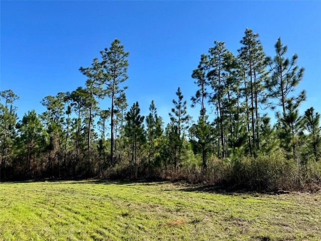 Listing photo 3 for 0 Robert White Rd, Bay Minette AL 36507