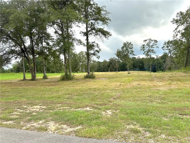 Listing photo 2 for 0 Hampton Rd, Mobile AL 36608