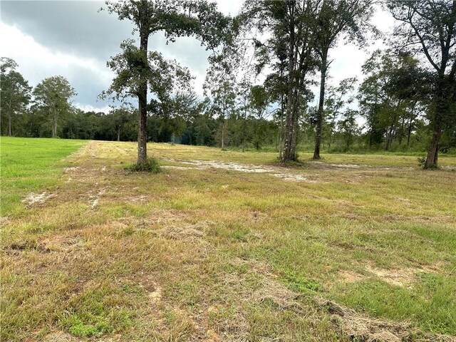 Listing photo 3 for 0 Hampton Rd, Mobile AL 36608