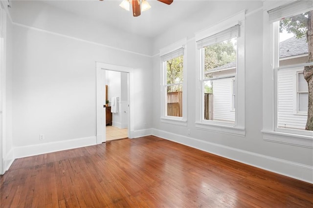 unfurnished room featuring ceiling fan and light hardwood / wood-style flooring