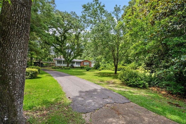 5405 Dogwood Ct, Mobile, AL 36693 - ranch-style house featuring a front yard and driveway