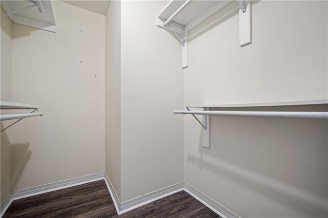 spacious closet with dark wood-style flooring