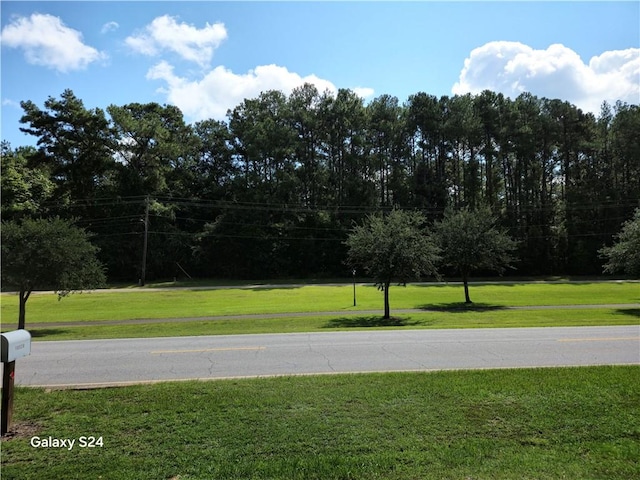 view of property's community featuring a yard