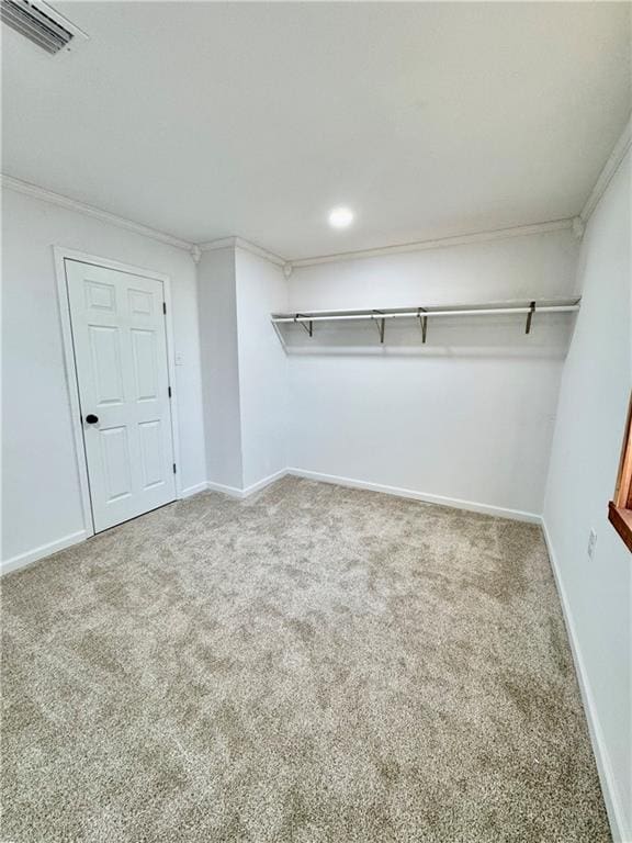 walk in closet featuring carpet