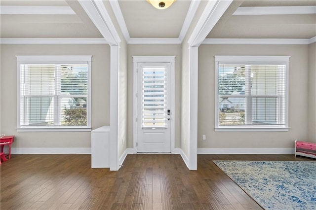 doorway to outside featuring dark wood-type flooring, ornamental molding, and plenty of natural light