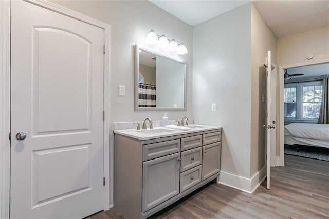 bathroom featuring hardwood / wood-style flooring and vanity