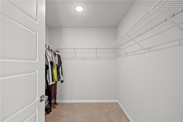 10520 Wales Ln, Spanish Fort, AL 36527 - spacious closet with carpet