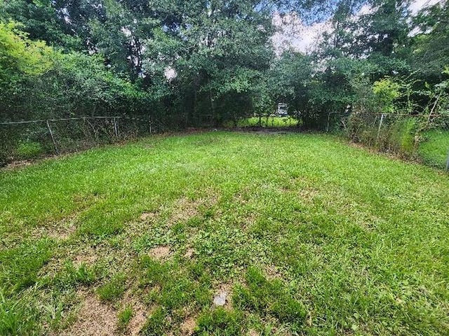 2805 Banks Ave, Mobile, AL 36617 - view of yard