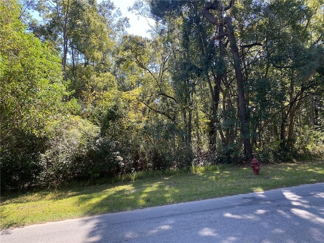 Listing photo 2 for 0 Hemley St, Bayou La Batre AL 36509