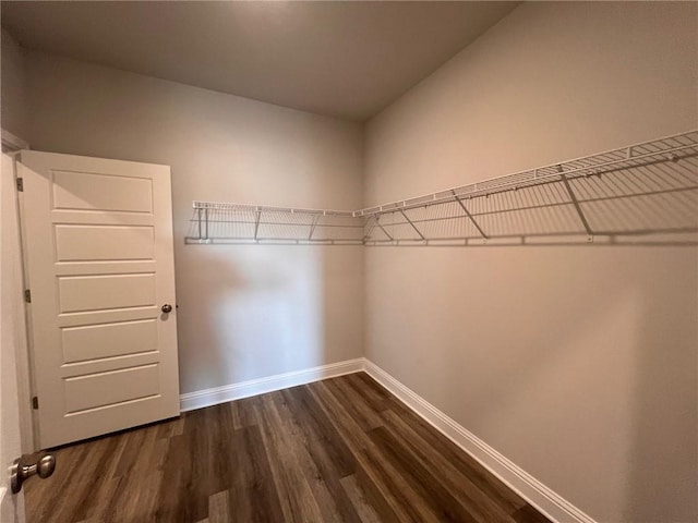 spacious closet featuring dark wood-type flooring