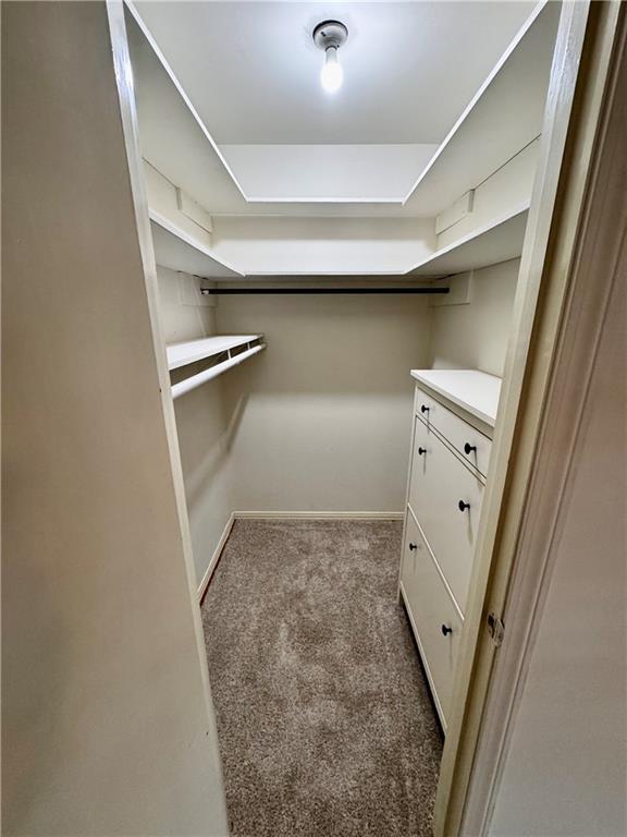 spacious closet with carpet flooring