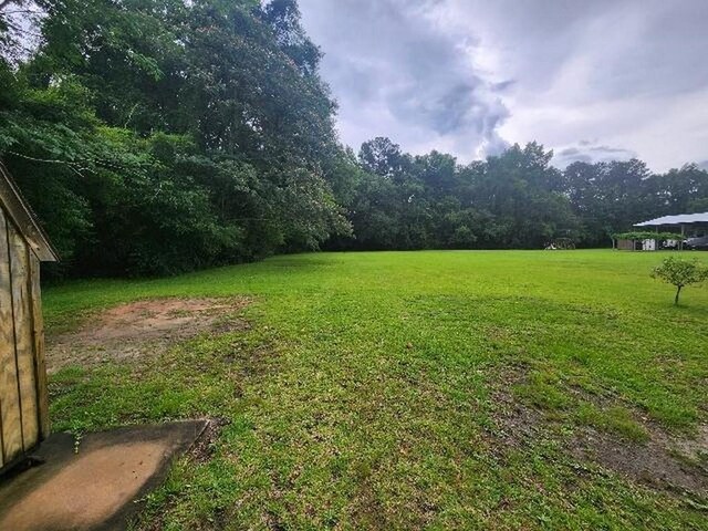 5320 Catherine Dr, Satsuma, AL 36572 - view of grassy yard with a wooded view