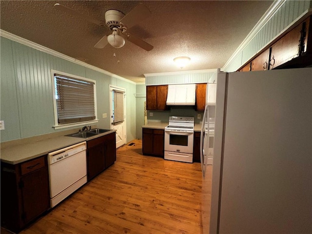 kitchen with crown molding, ceiling fan, light wood-type flooring, white appliances, and a sink