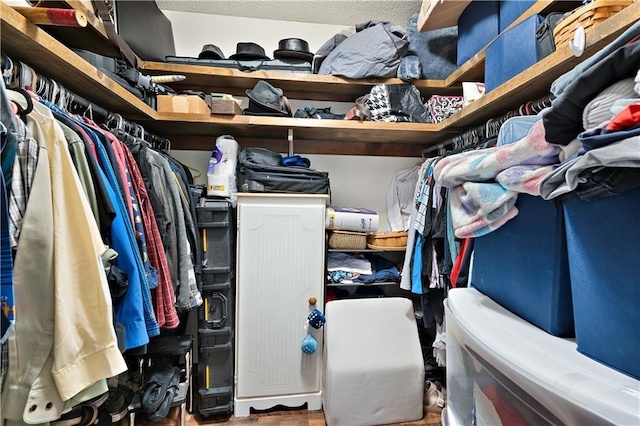 spacious closet with wood finished floors